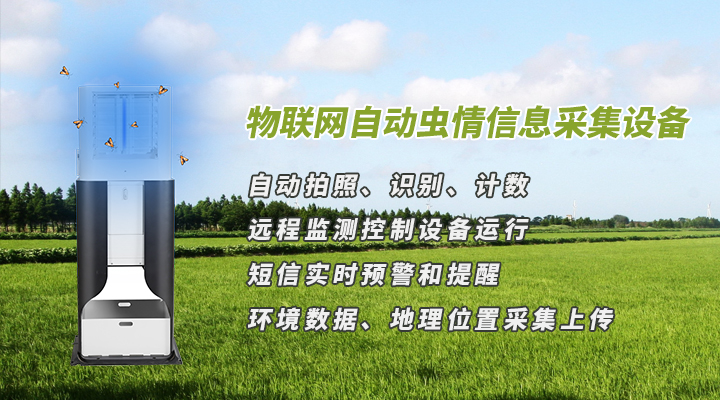自貢尚美彩燈公司制作的百米長(zhǎng)龍彩燈